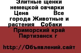 Элитные щенки немецкой овчарки › Цена ­ 30 000 - Все города Животные и растения » Собаки   . Приморский край,Партизанск г.